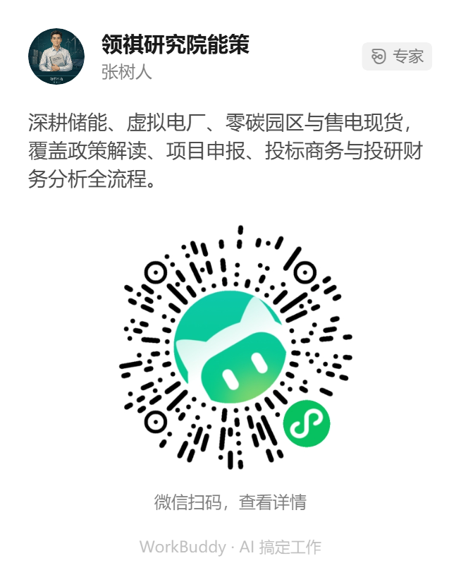 领祺研究院能策 - 张树人：储能、虚拟电厂、零碳园区与售电现货